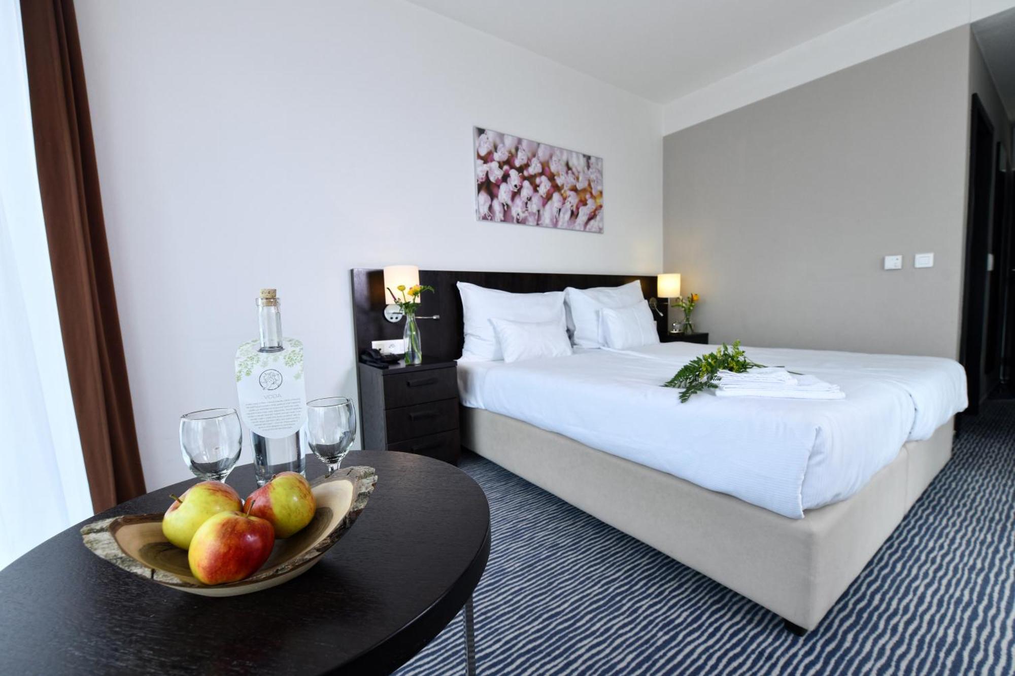 Wellness Hotel Vista โดลนี โมราวา ภายนอก รูปภาพ